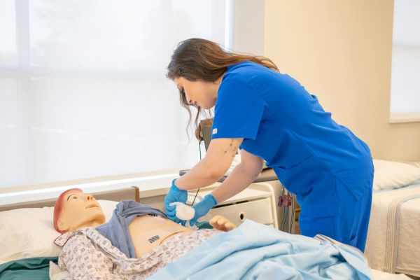 statistiques parcoursup